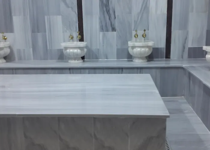 سبا وحمام فندق سانلي 2*