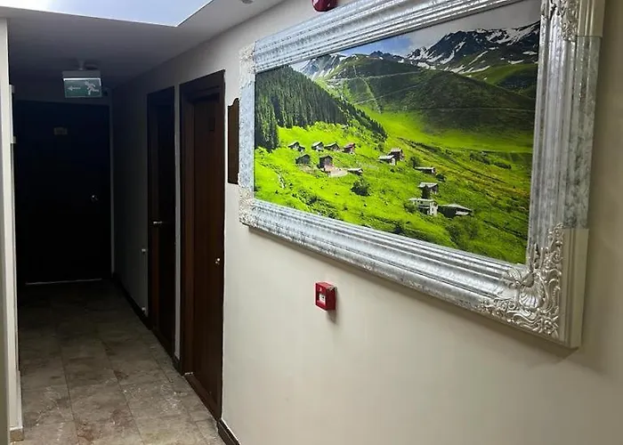 Sanli Hotel Trabzon Hotel 2*